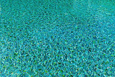 《小缇娜的奇幻之地》IGN 8分 GameInformer 9.5分